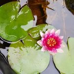Barbara Haase - @haase6358 - Instagram
