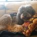 Barbara Haase - Facebook