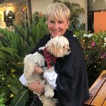 Barbara Haase - @bhaase347 - Instagram