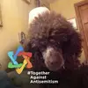 barbarabrekkehack - @barbarabrekkehack - TikTok