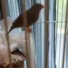 barbarahackschuma - @barbarahackschuma - TikTok