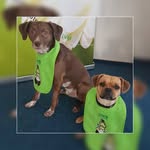 Achim Jacob & Barbara Häcker - @lvmhambruecken - Instagram