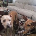 Barbara Hackney - @barbara.hackney.75 - Instagram