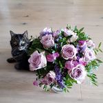 Barbara Kosem Hafner - @kosemhafner - Instagram