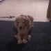 Barb Haggard - Facebook