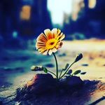 Barbara Haignere - @barbara.haignere - Instagram