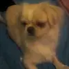 halasz barbara - @hbarbara387_halaszb - TikTok