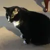 barbarahallett516 - @barbarahallett516 - TikTok