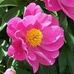 Barbara Hallberg - Facebook