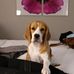 Barbara Haller - Facebook