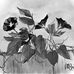 Barbara Haller - Facebook
