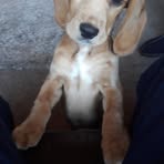 Barbara Halliday - Facebook