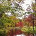 Barbara Hallowell - Facebook
