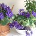 Barbara Hallstrom - Facebook