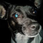 barbara hallstrom - @barbarahallstrom - Instagram