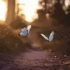 Halmi Barbara - @halmi.barbara - TikTok