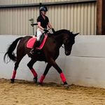 Barbara Caulfield Halpin - @6443_barbara - Instagram
