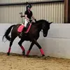 barbaracaulfieldhalpin - @barbaracaulfieldhalpin - TikTok