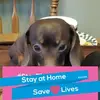 Barbara A Halstead - @bhals22517 - TikTok
