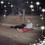 Barbara Annette Halstead - @bhalsteaddesign - Instagram