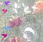 Barbara Halstead - Facebook