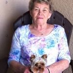 Barbara Halstead - @barb.halstead - Instagram