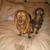 Barbara Halstead - @barbara.halstead - TikTok