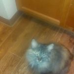 @barbarahalterman53 - Instagram