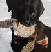 Barbara Halverson - Facebook