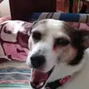 Barbara Mabry Hamlin Meinhart - @barbaramabryhamli - TikTok