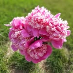 Barbara Hammes - @barbara.hammes - Instagram