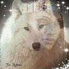 Barbara Hammond Serr - @barbarahammondser - TikTok
