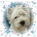 Barbara Hands - Facebook