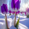 Barbara.Hardin - @barbarahardintcqobpl - TikTok