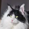 Barbara - @barbaradillhardt - TikTok