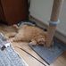 Barbara Hardwick - Facebook