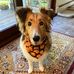 Barbara Harkins - Facebook