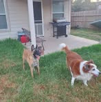 Barbara Harry - Facebook