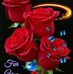 Barbara Harry - Facebook