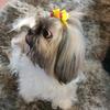 Barbara Hardness - @barbaraemaluuu3_45 - TikTok