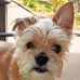 Barbara Harness - Facebook