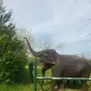 Barbara Harvey - @barbara.harvey20 - TikTok