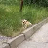 Варя и Настя - @barbarahastya3 - TikTok