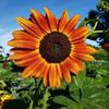 Barbara Hatcher386 - @barbarahatcher386 - TikTok