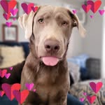 Barbara Hatcher - @hatcher83 - Instagram