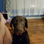 Barbara Hatcher - @barbara.hatcher.33 - Instagram