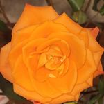 Barbara Haug - @bhaug105 - Instagram