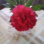 Barbara Haug - @barbara.haug.3133 - Instagram