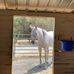 Barbara Hazelton - Facebook