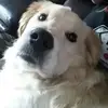 Barbara Hedrick - @user6796676534728 - TikTok